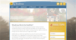 Desktop Screenshot of joyboudreau.com